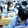 Proveedores vietnamitas de materiales a PUMA recibirán préstamos preferenciales