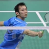 Badmintonistas vietnamitas clasificados para los Juegos Olímpicos 2016