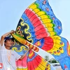 A divertirse con el festival internacional de papalotes en Vietnam 