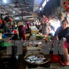 Asistencia urgente en Vietnam a pobladores afectados por muerte masiva de peces