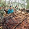 Vietnam realiza maniobra de respuesta a desastres
