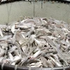 Vietnam saluda decisión estadounidense sobre pescados sin escamas