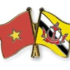 Vietnam y Brunei amplían nexos en defensa