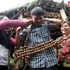 Fiesta de cosecha de ciruelas en Moc Chau