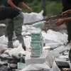 Camboya y Myanmar destruyen gran cantidad de drogas
