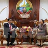 Vietnam y Laos refuerzan colaboración en asuntos étnicos