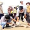 Residentes de Quang Binh aspiran a entorno marino limpio