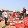 Proponen políticas para ayudar a pescadores afectados por incidente ambiental