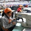 Gobierno de Vietnam apoya a empresas pequeñas y medianas