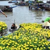 Seminario busca medidas para el desarrollo turístico del Delta de Mekong