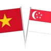 Empresas vietnamitas y singapurenses estudian oportunidades de cooperación