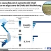 [Infografía] Daños causados por el aumento del nivel del mar en Vietnam
