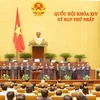 Presentan candidatos a organismos del Parlamento e inspección estatal de Vietnam