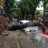Exhortan en Vietnam a mejorar pronóstico de tormentas