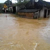 Al menos seis muertos y un desaparecido por lluvias torrenciales en norte de Vietnam