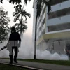 Singapur lanza campaña de eliminación de mosquitos para prevenir Zika