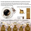 [Infografía] En alza exportación de café de Vietnam en primeros ocho meses 