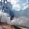 El virus Zika continúa su expansión en Singapur