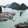 Vietnam posee ventajas para atraer a turistas de Australia y Nueva Zelanda
