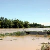 Inundaciones dejan ocho muertos en Vietnam