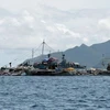 Indonesia detiene barcos chinos por pesca ilegal