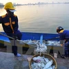 Policía y científicos participan en investigación de muerte masiva de peces en Hanoi
