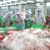 Exportadores de pescados de Vietnam enfrentan dificultades en lograr meta anual