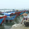 Cuestión de incidente ambiental en Centro de Vietnam se resuelve activamente