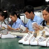 Sector de calzado de Vietnam en busca de crecimiento en era de integración global