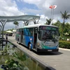 Modelo de bus ecológico gana favoritismo en provincia de Vietnam