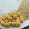 [Fotos] Bolas de arroz glutinoso frito