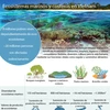 [Infografia] Ecosistemas marinos y costeros en Vietnam