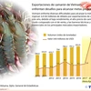 [Infografía] Enfrentan desafíos exportaciones de camarón de Vietnam