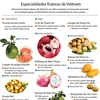 [Infografia] Especialidades fruteras de Vietnam