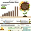 [Infografía] Agricultura orgánica-tendencia inevitable en Vietnam