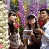 [Foto] Cultivo de orquídea de alta tecnología en provincia vietnamita de Lam Dong 
