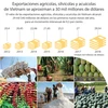 [Infografía] Exportaciones agrícolas de Vietnam crecen en 9,3 por ciento
