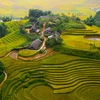 (Televisión) Atractivo ecoturismo en distrito montañoso de Sapa en Vietnam 