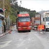 Garantizan actividades comerciales fronterizas fluidas durante el Año Nuevo Lunar