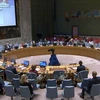Ratifica Vietnam apoyo a equidad de género en proceso de paz en Sahel