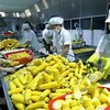 Destacan oportunidades para Vietnam en RCEP