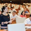 Vietnam aboga por mayor representatividad de minorías étnicas en el Parlamento