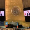 Vietnam comparte en ONU experiencias en lucha contra VIH/SIDA
