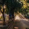 Visita la calle más hermosa de Hanoi en el comienzo del otoño