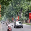Calles de Hanoi se visten de colores en saludo al Día de la Liberación de la capital