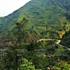 Cuatro grandes pasos de montaña en el noroeste de Vietnam