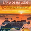 Bahía de Ha Long: Destino idílico junto al mar para ver el amanecer y el atardecer