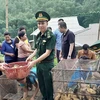 Provincia vietnamita de Thanh Hoa empeñada en mejorar vida de etnia minoriaria