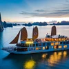 Turismo de cruceros: Khanh Hoa busca aprovechar sus bondades