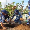 Desarrollar “Truong Sa verde” por mejorar entorno en islas de Vietnam
